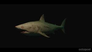 47 meters down uncaged shark. Artstation 47 Meters Down Uncaged Shark Remy Dupont