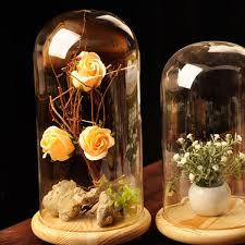 Maybe you would like to learn more about one of these? 33x15cm Glass Dome Wooden Base Cloche Bell Jar Display Stand Micro Landscape Dried Flower Diy Vase Jabbals Com