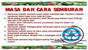 Bercucuk tanam dan menanam tanaman sendiri pasti diminati ramai pemilik rumah yang mementingkan halaman hijau rumah mereka. Baja Ezigrow Perlis Posts Facebook