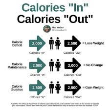 Pin On Rapid Weight Loss