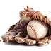 SouthNashvillealive in Little League Baseball regional