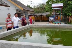 Pln kalitidu / badan penanggulangan bencana daerah kabupaten bojonegoro : Pepc Bantu Slb Kalitidu Kembangkan Hidroponik Antara News Jawa Timur