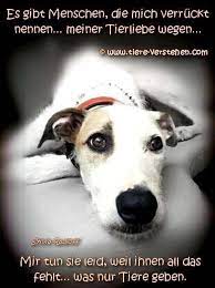 Pin Von Maxie Bouwer Auf German Language Spruche Tiere Spruche Tierliebe Welt Katzen Tag