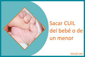 Saca gratis número de cuil. Como Sacar El Cuil Para Un Menor O Bebe Recien Nacido Mi Cuil