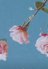Idk If Anyone Has Posted This But This Is The Background For The Merch Ad Taylor Has On Her Stories Without Any Letters I Thought It Was Cute Af For A Wallpaper #aesthetics #aesthetic backgrounds #pink backgrounds #pink #aesthetic wallpaper. background for the merch ad taylor