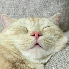  Noname Nottake Nonametake à¹‚à¸›à¸£à¹„à¸Ÿà¸¥ Pinterest