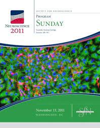 Il braccio di mare su cui sorge singapore; Slide Society For Neuroscience
