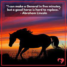 Ijan zagorsky — once in a lifetime 05:26. 15 Greatest Quotes About Horses Of All Time
