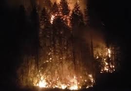 Lara matthews, grade 6 teacher at parkview, said fellow staff nicole krull and katie dawson spearheaded the idea. Video Wildfire Erupts North Of Sicamous Above Shuswap Lake Salmon Arm Observer