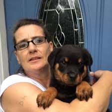 Reviews & Testimonials