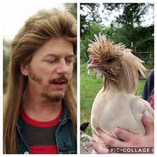 Having a bad hair day 🤣🤣🤣