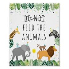 Don T Feed The Animals Safari Party Animal Poster Zazzle Com Zoo Birthday Party Safari Birthday Party Decorations Animal Birthday Party Games