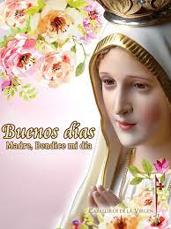 Y en aquel primer encuentro la virgen maría les dijo, entre otras cosas, que regresaría durante los próximos seis meses todos los días 13 a la misma hora. 17 Ideas De Virgen De Fatima Imagenes Religiosas Virgen Virgen Maria