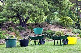 Gartenbäume und schöne bäume für den garten online kaufen exklusive und außergewöhnliche bäume mit charakter wir bieten ihnen die größte auswahl an exklusiven und außergewöhnlichen gartenbäumen und bäumen in ganz europa und stehen für winterharte edelgehölze zu fairen preisen mit höchster qualität. Baume Fur Den Garten Kaufen Unsere Tipps Fur Den Richtigen Baum Hausmagazin Com