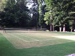 One did hard court and paid $20,000 a few years ago, one priced out clay or more accurately hartru and was. South Carolina S Grass Centre Court Palmetto State Racket