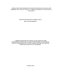 Image result for Sesbania macowaniana