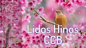 We did not find results for: 2 Horas De Belos Hinos Ccb Hinario 5 Cantados Ccb Lindos Hinos Cantados Youtube