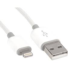 Rocstor Sync Charge Lightning Usb Data Transfer Cable 4 Ft Lightning Usb Data Transfer Cable For Ipod Iphone Ipad Computer Mac Ipad Mini First End 1 X Type A Male Usb Second
