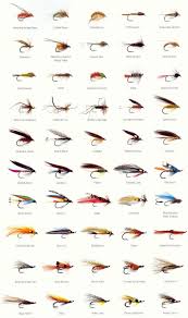Flie Collection Fly Fishing Lures Fish Fly Fishing