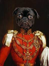 Print your pet on a custom canvas in an authentic renaissance style portrait and give them pride of place in your home. Custom Pet Portrait Military Pet Portrait Regal Pet Portrait Royal Pet Portrait Military Portrait Fine Art Print Or Digital File Pet Portraits Royal Pet Portrait Dog Portraits