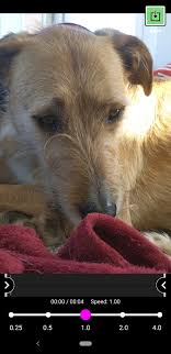 Editor de efectos rápidos y lentos de vídeo en cámara lenta v1.2.29 pro apk para android es el reproductor y editores de vídeo para android desarrollado . Slow Motion Video Fx 1 4 13 Download For Android Apk Free