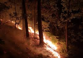 El heraldo reconstruye el drama de 5 municipios del sur del atlántico donde sus habitantes siguen golpeados por los estragos de la. Segundo Incendio Forestal En Cuntis En Menos Dun Mes Pontevedra Viva