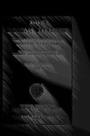 Yone Cosplay - AliExpress