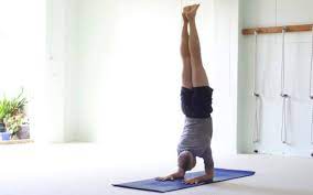 Check spelling or type a new query. Kensington School Of Yoga Iyengar Yoga Studio In Kensington Australia