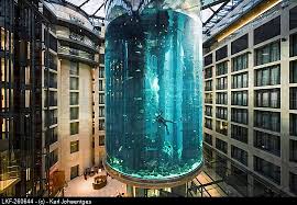 radisson blu hotel berlin germany aquariums aquarium berlin