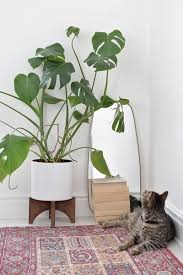 Join our mailing list for 15% off! Diy Mid Century Plant Stand Burkatron