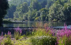 Et la protection du milieu aquatique. Autorise Pecher Dans La Riviere Tarn De Tarn Tourisme