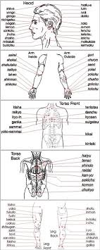 Shorinji Kempo Kyusho Pressure Points Anatomical