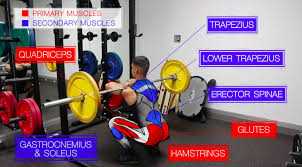Learn vocabulary, terms and more with flashcards, games and other study tools. Best Leg Workouts 4 Exercises For Thicker Quads Stronger Legs