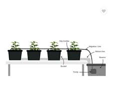 الصين الزراعة المائية الهولندية وعاء Bato Bucket Skyplant المصنعين