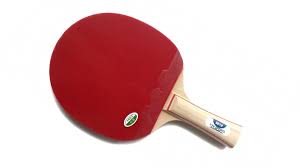 Friendship 2010 Raket Masatenisi Com