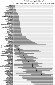 Image result for Xerophyta equisetoides