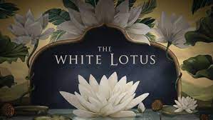 You can also upload and share your favorite lotus wallpapers. 8vv9kn Qr6r9xm