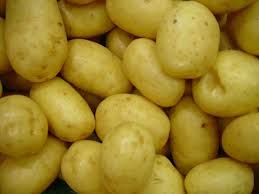 We planted five tubers of each variety. Ultimate Guide To Growing Potatoes In Containers Happy Diy Home