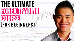 How Do You Start Forex Trading? A Beginner'S Guide