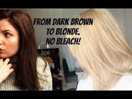 How To Go From Dark Brown To Blonde No Bleach No Damage Youtube Bleaching Dark Hair Lightening Dark Hair Blonde Dye