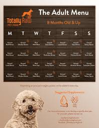 46 Particular Food Chart For Puppies