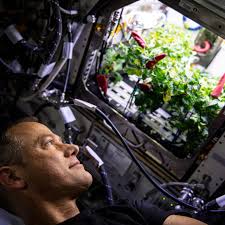 So let's talk about eating in space, we all know food needs to be grown one  way or the other. My question would be, should we try growing a different  kind of