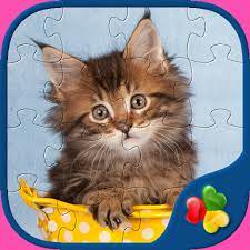 From adorable kitten puzzles to unique and beautifully artistic portraits of your favorite feline, this selection is what every cat lover could dream of in a jigsaw puzzle. Cute Cats Real Cat And Kitten Picture Jigsaw Puzzles Games For Kids Amazon Com Appstore For Android