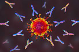 Preclinical data suggest it has the potential to both block viral entry into healthy cells and. Covid 19 Antikorper Vir 7831 Der Nachste Spikeprotein Widersacher Pz Pharmazeutische Zeitung