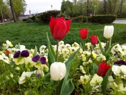 Opiniatimisoarei.ro, cel mai tare site de stiri din timisoara si timis, cu informatii de ultima ora, anchete, reportaje, foto si video. Prognoza Meteo Vreme SchimbÄƒtoare In Prima SÄƒptÄƒmanÄƒ Din Aprilie Cum Va Fi Vremea ToatÄƒ Luna Hotnews Mobile