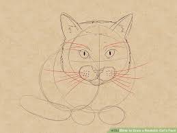 See more ideas about cat drawing, cat art, animal art. How To Draw A Realistic Cat S Face 11 Steps With Pictures Cat Face Drawing Realistic Cat Drawing Cat Face