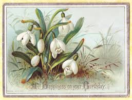 Victorian Card Snowdrop Flowers R Tuck Ebay Witte Bloemen Bloemen Prints