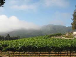 Sarah S Vineyard United States When is sarah's vineyard open? sarah s vineyard united states