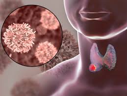 If it's healthy, each lobe is about the size of a quarter and you won't see or feel it under your skin. Thyroid Cancer Causes Risk Factors Prevention Signs Symptoms