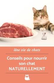 Epingle Sur Animaux